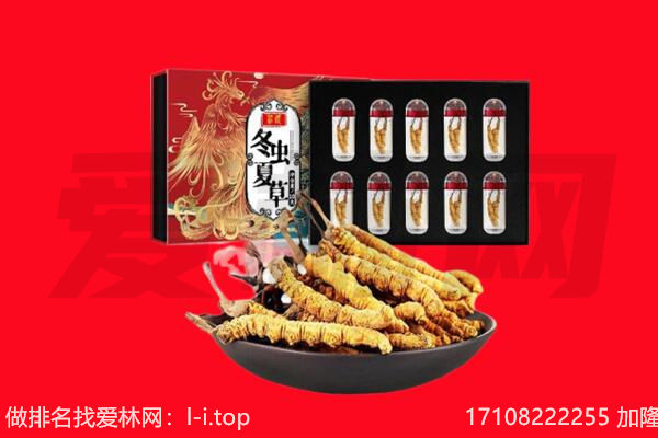 黄山屯溪区回收虫草.jpg